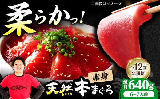 【全12回定期便】極上!たね熟天然本まぐろ赤身(640g) 天然 マグロ 鮪 赤身 刺身 魚 魚介 魚介類 海鮮丼 本マグロ 本まぐろ 本鮪 赤身 大トロ 冷凍 お刺身 お寿司 大阪府高槻市/本まぐろ直売所
