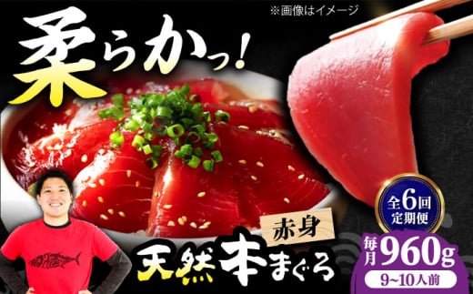【全6回定期便】極上!たね熟天然本まぐろ赤身(960g) 天然 マグロ 鮪 赤身 刺身 魚 魚介 魚介類 海鮮丼 本マグロ 本まぐろ 本鮪 赤身 大トロ 冷凍 お刺身 お寿司 大阪府高槻市/本まぐろ直売所