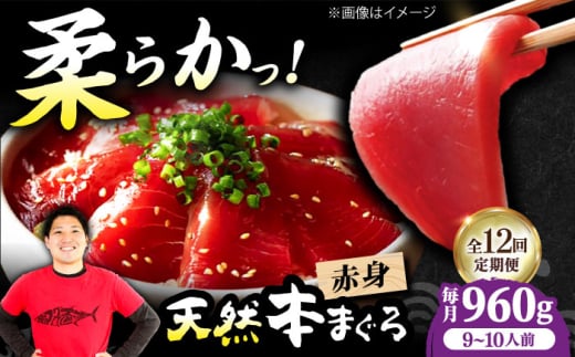 【全12回定期便】極上!たね熟天然本まぐろ赤身(960g) 天然 マグロ 鮪 赤身 刺身 魚 魚介 魚介類 海鮮丼 本マグロ 本まぐろ 本鮪 赤身 大トロ 冷凍 お刺身 お寿司 大阪府高槻市/本まぐろ直売所