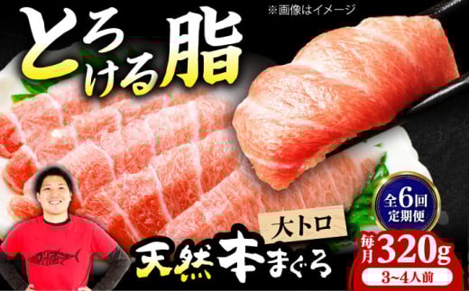 yS6ցzɏIˏnVR{܂g(320g) VR }O  g hg    CN {}O {܂ { Ԑg g Ⓚ hg i {Ύs/{܂뒼