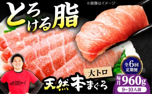 【全6回定期便】極上!たね熟天然本まぐろ大トロ(960g) 天然 マグロ 鮪 大トロ 刺身 魚 魚介 魚介類 海鮮丼 本マグロ 本まぐろ 本鮪 赤身 大トロ 冷凍 お刺身 お寿司 大阪府高槻市/本まぐろ直