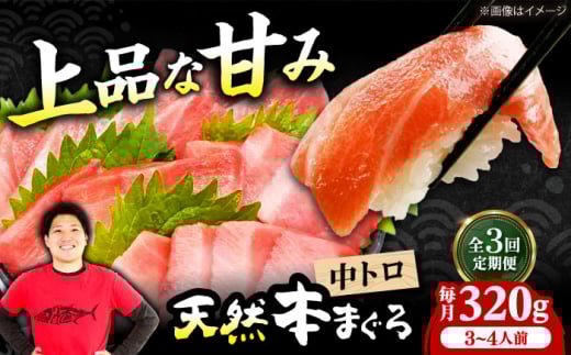【全3回定期便】極上!たね熟天然本まぐろ中トロ(320g) 天然 マグロ 鮪 中トロ 刺身 魚 魚介 魚介類 海鮮丼 本マグロ 本まぐろ 本鮪 中とろ 中トロ 冷凍 お刺身 お寿司 大阪府高槻市/本まぐろ