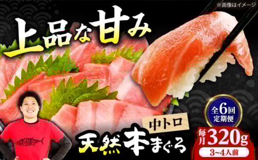 【全6回定期便】極上!たね熟天然本まぐろ中トロ(320g) 天然 マグロ 鮪 中トロ 刺身 魚 魚介 魚介類 海鮮丼 本マグロ 本まぐろ 本鮪 中とろ 中トロ 冷凍 お刺身 お寿司 大阪府高槻市/本まぐろ
