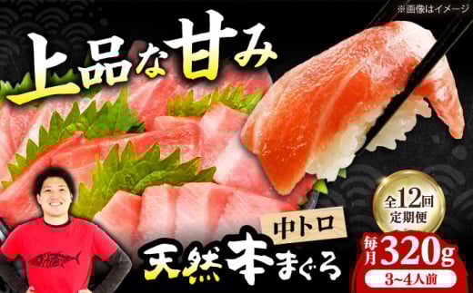 【全12回定期便】極上!たね熟天然本まぐろ中トロ(320g) 天然 マグロ 鮪 中トロ 刺身 魚 魚介 魚介類 海鮮丼 本マグロ 本まぐろ 本鮪 中とろ 中トロ 冷凍 お刺身 お寿司 大阪府高槻市/本まぐろ