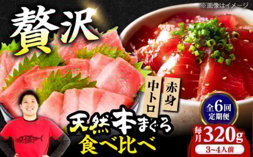 【全6回定期便】極上!たね熟天然本まぐろ赤身&中トロセット(320g 各160g) 天然 マグロ 鮪 中トロ 刺身 魚 赤身 魚介類 海鮮丼 本マグロ 本まぐろ 中トロ 大トロ 赤身 冷凍 お刺身 お寿司 大阪
