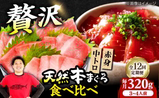 【全12回定期便】極上!たね熟天然本まぐろ赤身&中トロセット(320g 各160g) 天然 マグロ 鮪 中トロ 刺身 魚 赤身 魚介類 海鮮丼 本マグロ 本まぐろ 中トロ 大トロ 赤身 冷凍 お刺身 お寿司 大