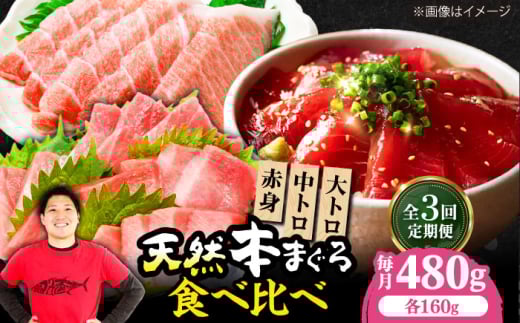 yS3ցzɏIˏnVR{܂ԐgggZbg(e160g v480g)  CN {}O {܂ g g Ԑg Ⓚ hg i {Ύs/{܂뒼