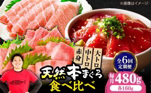 yS6ցzɏIˏnVR{܂ԐgggZbg(e160g v480g)  CN {}O {܂ g g Ԑg Ⓚ hg i {Ύs/{܂뒼