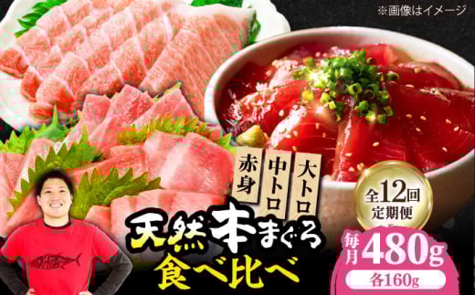 【全12回定期便】極上!たね熟天然本まぐろ赤身&中トロ&大トロセット(各160g 計480g) 魚介類 海鮮丼 本マグロ 本まぐろ 中トロ 大トロ 赤身 冷凍 お刺身 お寿司 大阪府高槻市/本まぐろ直売