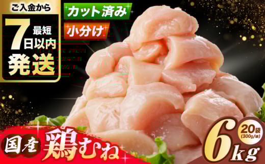 y2025N11zYᒹ@{ނ˓6kg(300g×20pbN) Ⓚ  ނ˓ {ނ˓ {l l {  { e {Ύs/А{t[Y [AOCA007]{Ύs2