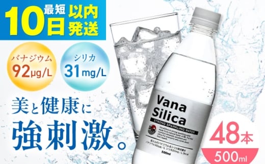 【年内発送】【10日以内発送】VanaSilica(バナシリカ) 富士山のバナジウム&シリカ 強炭酸水 500ml 24本 2箱(計48本) 炭酸 強炭酸 炭酸水 大容量 ハイボール 割り材 割材 ペットボトル お水