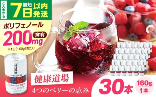 【最短7日以内発送】 健康道場 4つのベリーの恵み 160g×30本 ポリフェノール 健康飲料 飲料 果物 ブルーベリー ラズベリー ベリー 香料無添加 着色料無添加 保存料無添加 野菜ジュース まと