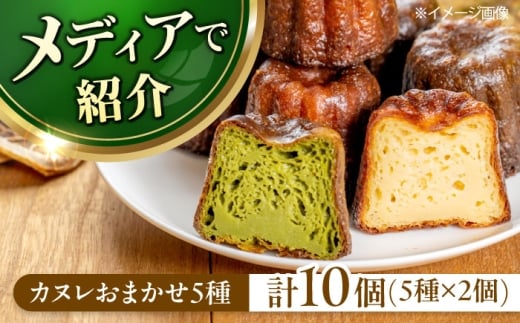 yNzJk X储܂5 10Zbg Hה ĉَq XC[c َq fU[g Jk  {Ύs/΃}i [AOEN004]{Ύs10000َqEXC[c̑ mَq