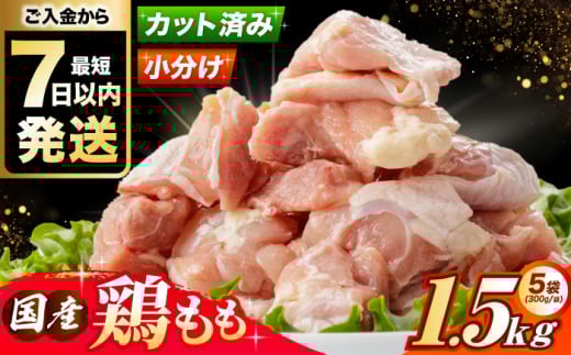 y2026N1z Yᒹ {1.5kg(300g×5pbN) Ⓚ   { e {Ύs/А{t[Y [AOCA003] Y{ pbN Ⓚۑ e gp