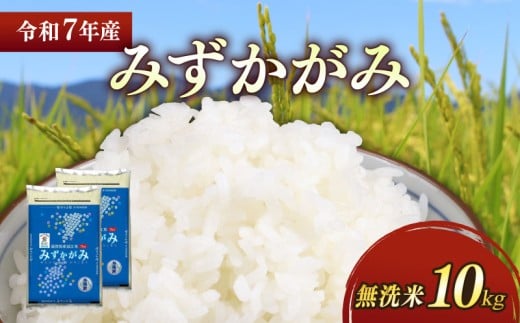 ★無洗米★ 新米 令和7年 彦根産 みずかがみ 10kg(5kg×2袋) お米 白米 無洗米 こめ コメ 滋賀 ごはん 米 おすすめ おこめ ご飯  滋賀 彦根 ひこね滋賀県彦根市35000米・パン無洗米
