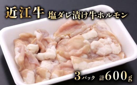 近江牛 ホルモン 塩だれ タレ漬け 200g × 3 計600g 特選 牛ホルモン もつ 生 ホルモン焼き 肉 牛肉 牛 和牛 国産 黒毛和牛 A5ランク A5 おかず 焼肉 バーベキュー 小分け モツ鍋 モツ煮 メス牛 一