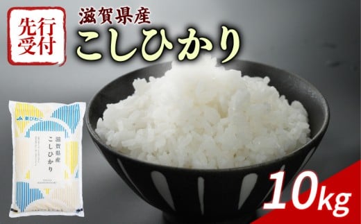 【令和7年産先行受付】 こしひかり 10kg 令和7年産 5kg×2袋 新米 米 精米 こめ コメ お米 ご飯 米 コシヒカリ 10キロ 先行受付 令和7年 滋賀 彦根滋賀県彦根市25000米・パン白米