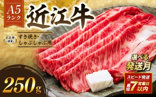 近江牛 A5 特上ロース すき焼き 250g 1月発送 A5ランク メス牛 特上 近江牛ロース ロース 牛肉 肉 お肉 和牛 黒毛和牛 国産牛 日本三大和牛 雌牛 ブランド牛 すきやき しゃぶしゃぶ お歳暮 おす