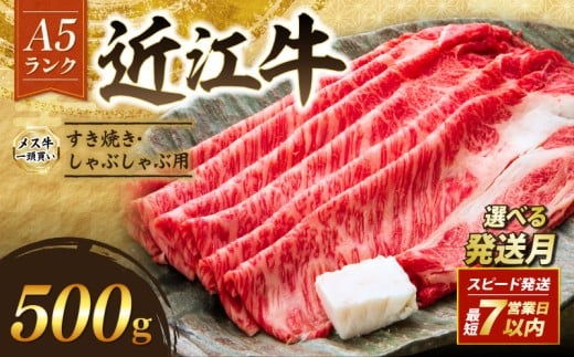 近江牛 A5 特上ロース すき焼き 500g 3月発送 A5ランク メス牛 特上 近江牛ロース ロース 牛肉 肉 お肉 和牛 黒毛和牛 国産牛 日本三大和牛 雌牛 ブランド牛 すきやき しゃぶしゃぶ お歳暮 おす