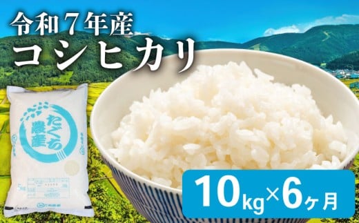 【先行予約 令和7年産】 こしひかり 6ヶ月 定期便 10kg 新米 精米 米 コメ お米 白米 ご飯 コシヒカリ 5kg 2袋 60kg 令和7年 6回 滋賀 彦根滋賀県彦根市174000米・パン白米