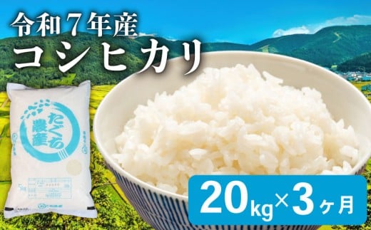 【先行予約 令和7年産】 こしひかり 3ヶ月 定期便 20kg 精米 米 コメ お米 白米 ご飯 コシヒカリ 5kg 4袋 令和7年 3回 定期便 滋賀 彦根滋賀県彦根市174000米・パン白米