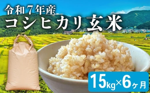 【先行予約 令和7年産】こしひかり 6ヶ月 定期便 玄米 15kg 新米 米 お米 ご飯 15kg 1袋 令和7年 コシヒカリ 6回 滋賀 彦根滋賀県彦根市210000米・パン玄米・雑穀米・もち米・餅