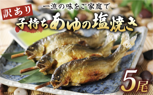 訳あり 子持ち あゆの塩焼き 5尾 あゆ 鮎 アユ 鮎の塩焼き アユの塩焼き 鮎塩焼き アユ塩焼き あゆ塩焼き 焼魚 子持ちアユ 子持ち鮎 子持ちあゆ 塩焼き 便利 簡易 簡単  簡単調理 魚 焼き魚