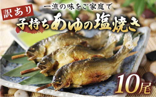 訳あり 子持ち あゆの塩焼き 10尾 あゆ 鮎 アユ 塩焼き 鮎の塩焼き アユの塩焼き 鮎塩焼き アユ塩焼き あゆ塩焼き 焼魚 子持ち 子持ち鮎 子持ちあゆ 塩焼き 便利 簡易 簡単  簡単調理 魚 焼き
