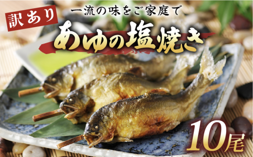 訳あり あゆの塩焼き 10尾 あゆ 鮎 アユ 鮎の塩焼き アユの塩焼き 鮎塩焼き アユ塩焼き あゆ塩焼き 焼魚 塩焼き 便利 簡易 簡単  簡単調理 魚 焼き魚 琵琶湖 国産 川魚 魚介 彦根 滋賀滋賀県彦