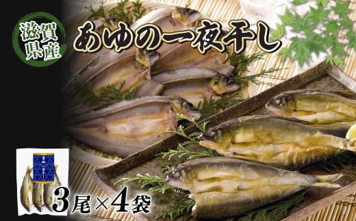 滋賀県産 あゆの一夜干し 3尾×4袋 干物 一夜干し あゆ 鮎 鮎の一夜干し 川魚 魚 国産 琵琶湖 滋賀 彦根 あゆの店きむら滋賀県彦根市14000魚介・海産物干物