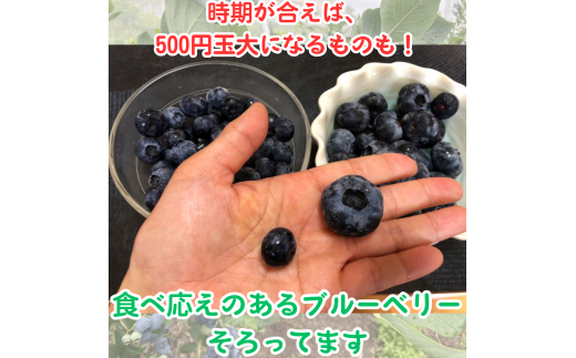VEWInu[x[QސHה׃ZbgIQna20000ʕEt[c̑ ʕEt[c