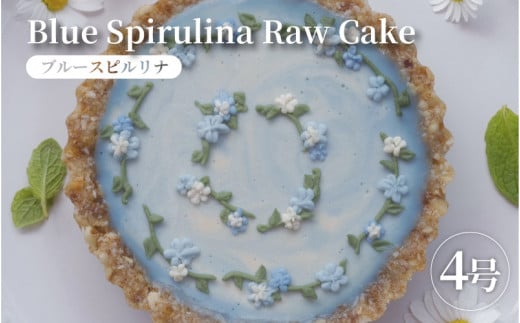 ローケーキ ブルースピルリナ大阪府東大阪市17000菓子・スイーツケーキ・カステラ