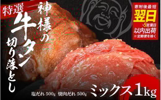 y Xs[h zI_l̋^؂藎Ƃ@1kgi1p{ē1pj  /  Hה  󂠂 Xs[hz ̐_l{s12000