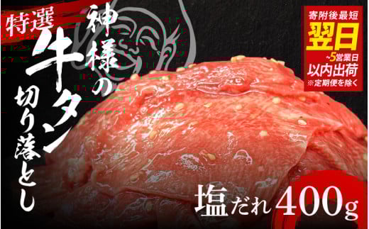 y Xs[h zI_l̋^؂藎Ƃ@400gi2pj  /  Hה  󂠂 Xs[hz ̐_l{s7000