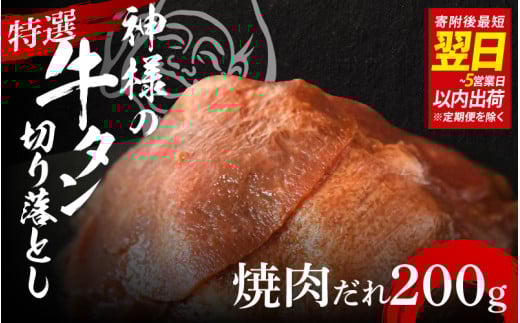 y Xs[h zI_l̋^؂藎Ƃ@200giē1pj / 󂠂 Xs[hz ̐_l{s5000