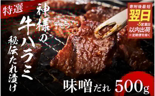 y Xs[h zI_l̋n~ `Ђ 500giX1pj{s14000