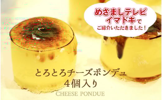ƂƂ`[Y|fi4j_Vo`[YP[LI₽Ԃł͂ƂZɁA߂ƃ`[YtHf̂悤ɂƂ낯^{s7000َqEXC[cP[LEJXe