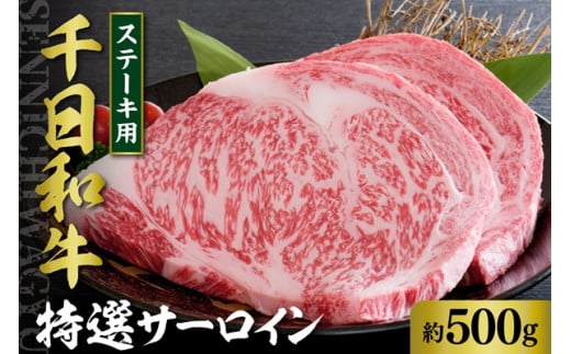 千日和牛特選サーロインステーキ 約500g(山形牛)【山形県 河北町】山形県河北町36000肉牛肉
