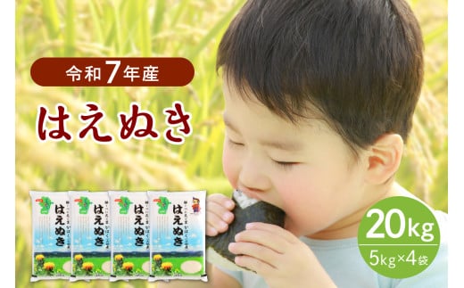 【令和7年産米】2026年1月中旬発送 はえぬき20kg(5kg×4袋)山形県産 【JAさがえ西村山】山形県河北町67200米・パン白米