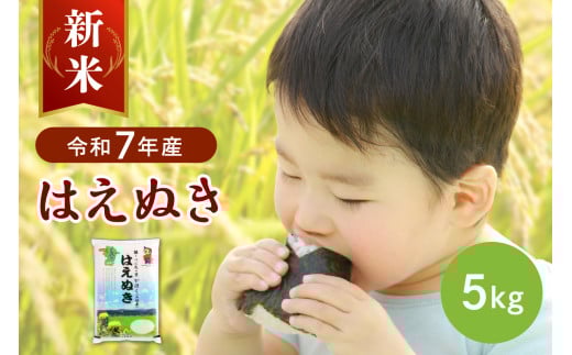 【令和7年産米】2025年12月下旬発送 はえぬき5kg 山形県産 【JAさがえ西村山】山形県河北町16800米・パン白米
