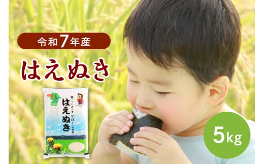 【令和7年産米】2026年1月中旬発送 はえぬき5kg 山形県産 【JAさがえ西村山】山形県河北町16800米・パン白米