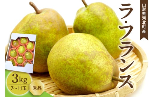 【令和7年産】洋梨 ラフランス 3kg(7〜11玉前後) ギフト箱入り 山形県河北町産【山形eLab】ka074-011山形県河北町12000果物・フルーツりんご・梨