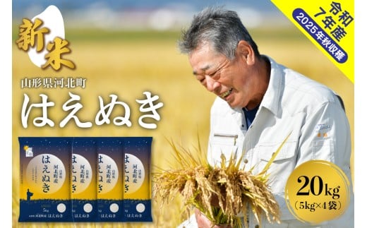 【令和7年産米】2025年11月下旬発送 はえぬき20kg(5kg×4袋) 山形県産 【米comeかほく協同組合】 ka024-041d-r7-113山形県河北町48000米・パン白米