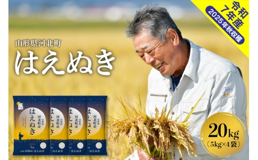 【令和7年産米】2026年3月上旬発送 はえぬき20kg(5kg×4袋) 山形県産 【米comeかほく協同組合】 ka024-041d-r7-031山形県河北町48000米・パン白米