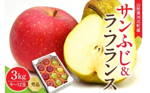【令和7年産】サンふじ&ラ・フランス 3kg(約9〜12玉) 山形県 河北町産 【山形eLab】 ギフト 贈答 詰め合わせ セット ふじりんご ラフランス ka074-010山形県河北町12000果物・フルーツその他 果