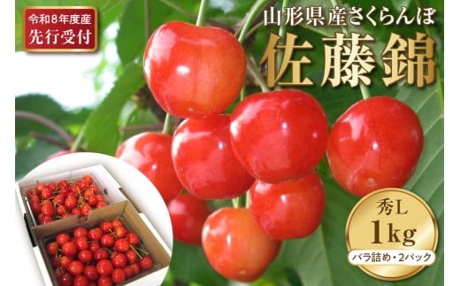 【2026年産先行予約】さくらんぼ佐藤錦 秀L 1kg以上(500gバラ詰め×2パック) 山形県河北町産【晴天畑】 さくらんぼ 贈答 ギフト 佐藤錦 秀品 先行予約 令和8年産  ka073-007山形県河北町32000果物・