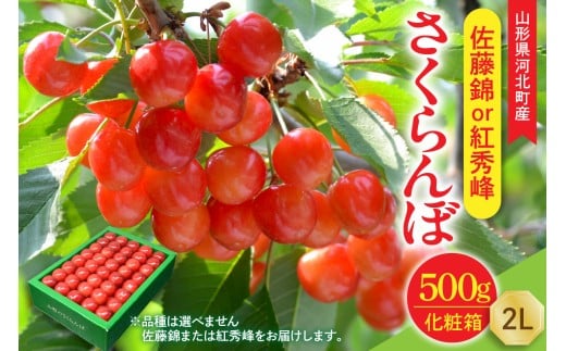 【令和8年産】さくらんぼ 佐藤錦or紅秀峰 500g 2L玉 手詰め 特秀品 化粧箱入 山形県河北町産 【山形eLab】フルーツ 人気 贈答 ふるさと納税 河北町 2026年産 品種おまかせ ka074-038山形県河北町3500