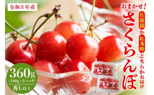 【令和8年産】おまかせさくらんぼ「佐藤錦or紅秀峰」秀L以上 360g (180gフードパック×2パック)【JAさがえ西村山】 ka008-110e山形県河北町9000果物・フルーツさくらんぼ