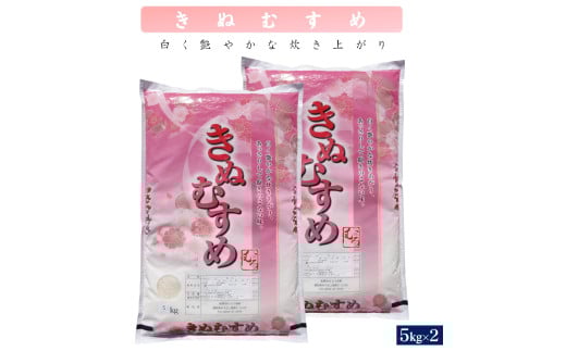 令和6年産 きぬむすめ10kg(精白、5kg×2)鳥取県米子市37000米・パン白米
