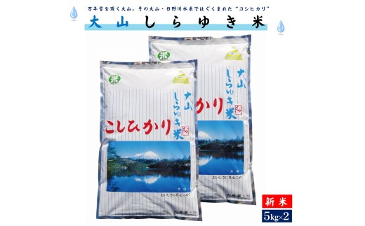 【3〜7営業日以内に出荷】令和7年産 新米 大山しらゆき米10kg(精白、コシヒカリ、5kg×2)鳥取県米子市28000米・パン白米